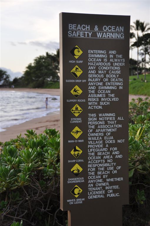 DSC_0357beachSafetySign