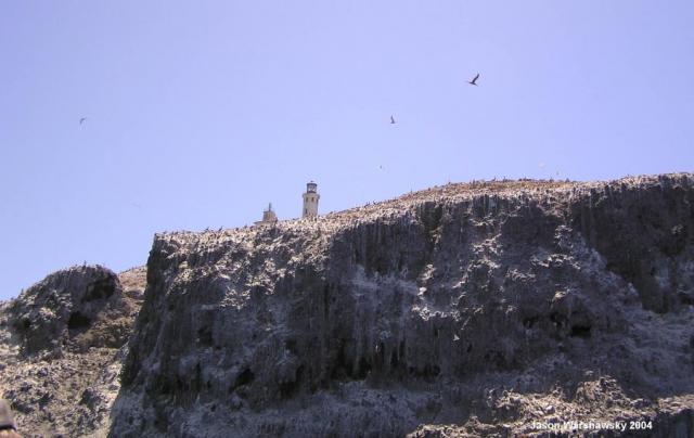 landing cove bluffs