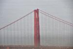 DSC_1353ggBridge