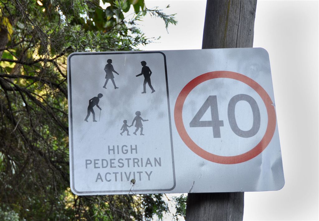 DSC_2388pedestrianApeSign