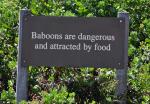 DSC_9303sign_baboon.jpg