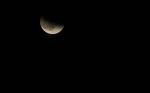 DSC_1399eclipse.jpg