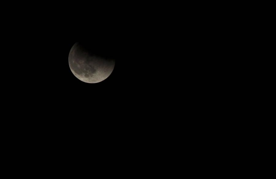 DSC_1418eclipse.jpg