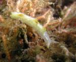 P8280091nudi_onTheMove