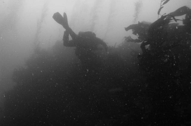 divers