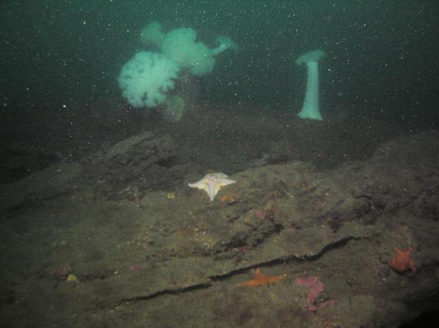 P2184235_0_7.JPG