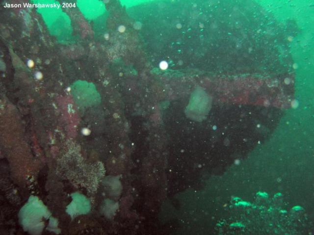 wreckStructure3withBubbles